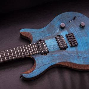 Edge 6 NT Royal Blue Spalted Maple PRE-ORDER | Jericho Guitars